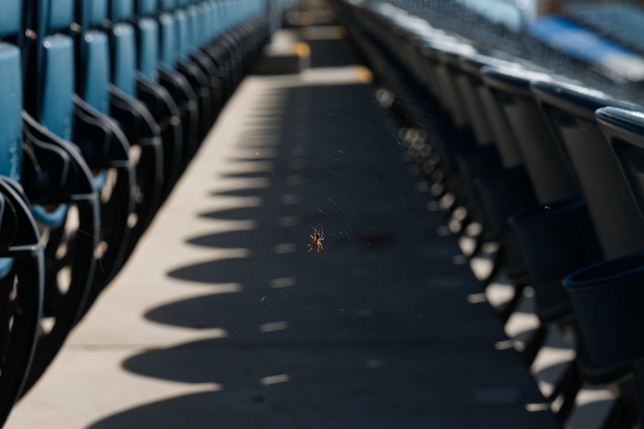 CHESTER, PENNSYLVANIA - OCTOBER 19: Philadelphia Union against FC Cincinnati on October 19, 2024 at Subaru Park in Chester, Pennsylvania.
